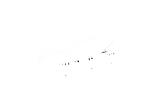 Litusa Sunlounger