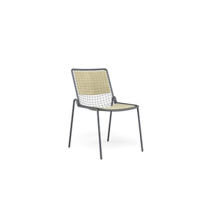 Reo Chaise